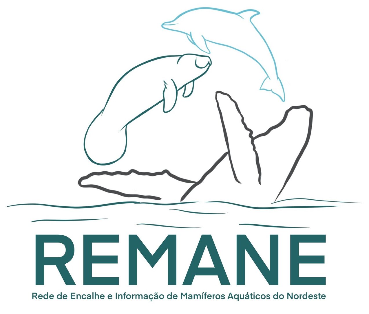 Logo 21